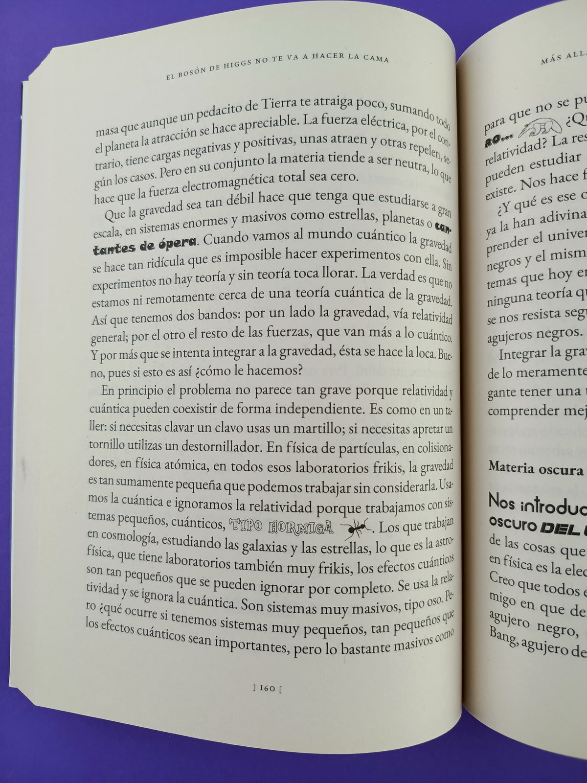 El Boson De Higgs No Te Va A Hacer La Cama by Javier Santaolalla
