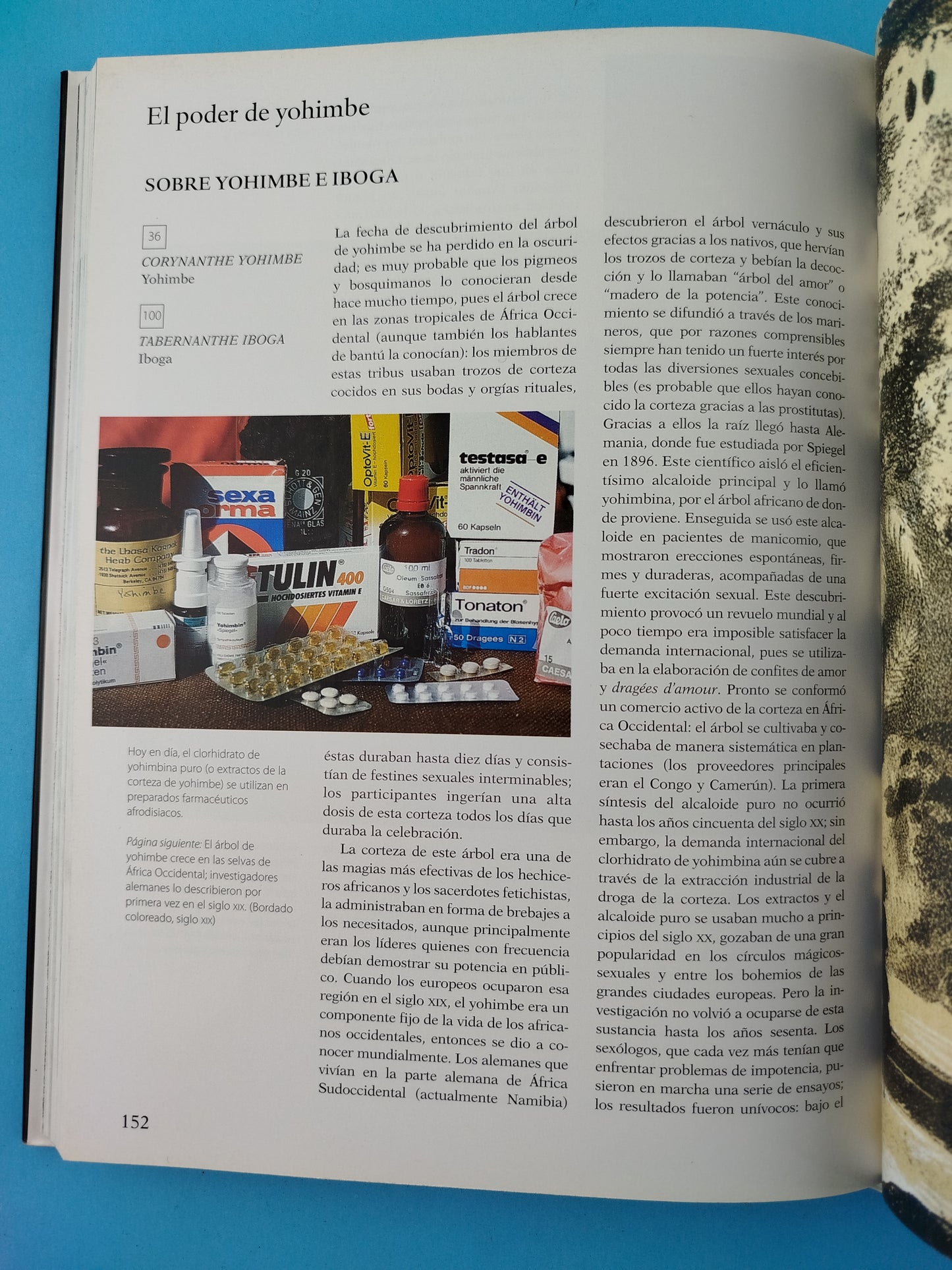 Las plantas del amor