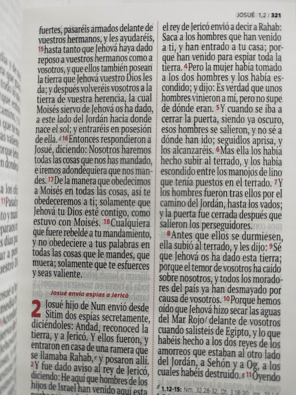 Biblia RVR 1960 letra grande azul- celeste by Reina Valera 1960