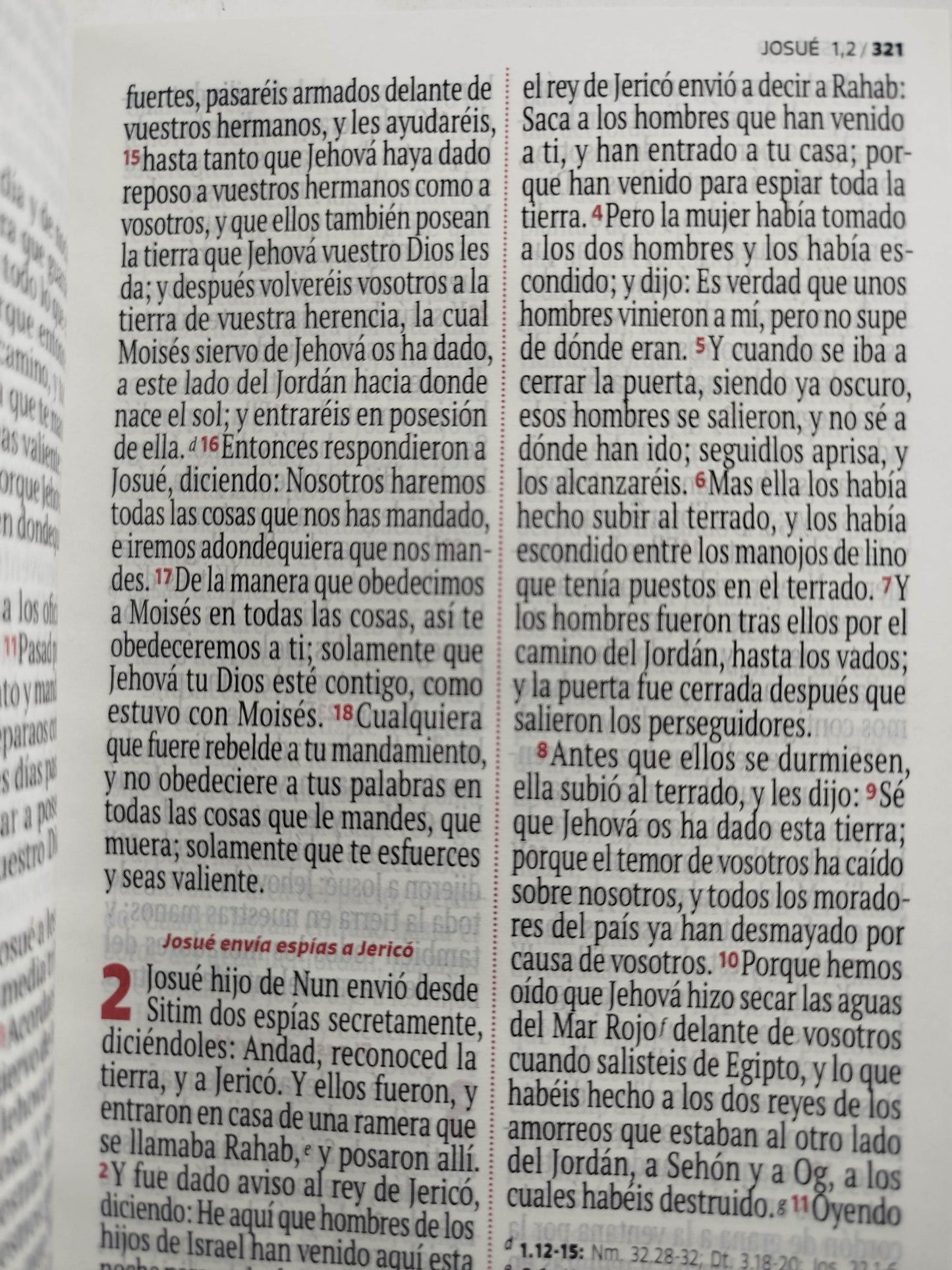 Biblia RVR 1960 letra grande azul- celeste by Reina Valera 1960