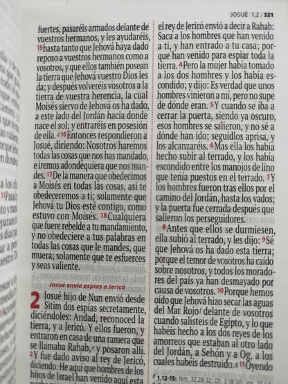 Biblia RVR 1960 letra grande azul- celeste by Reina Valera 1960