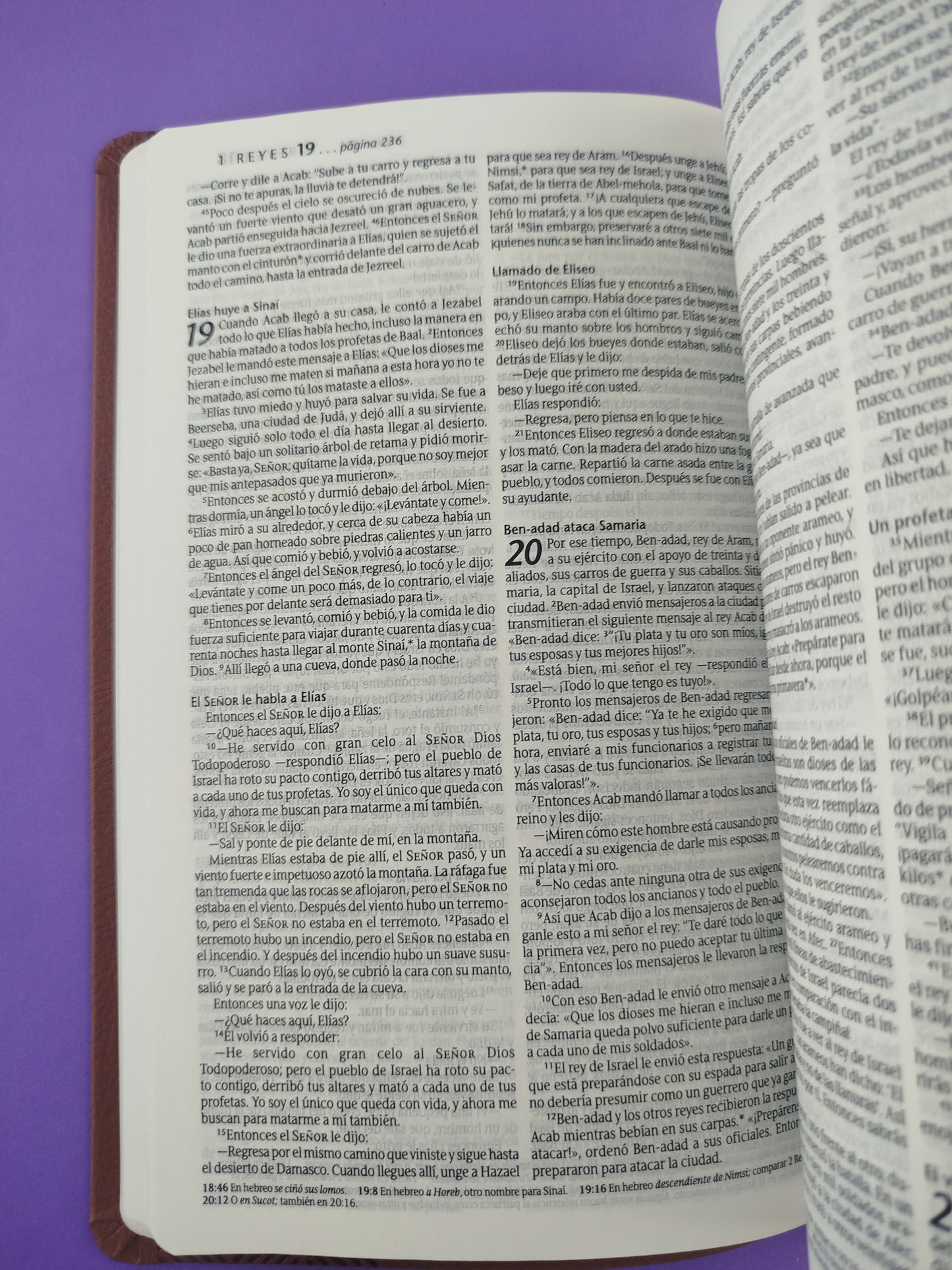 Biblia ntv ágape sentipiel café by Nueva Traducción Viviente
