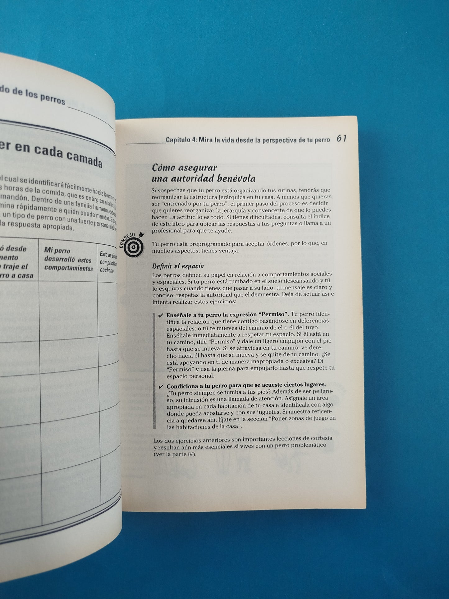 Comportamiento canino para Dummies