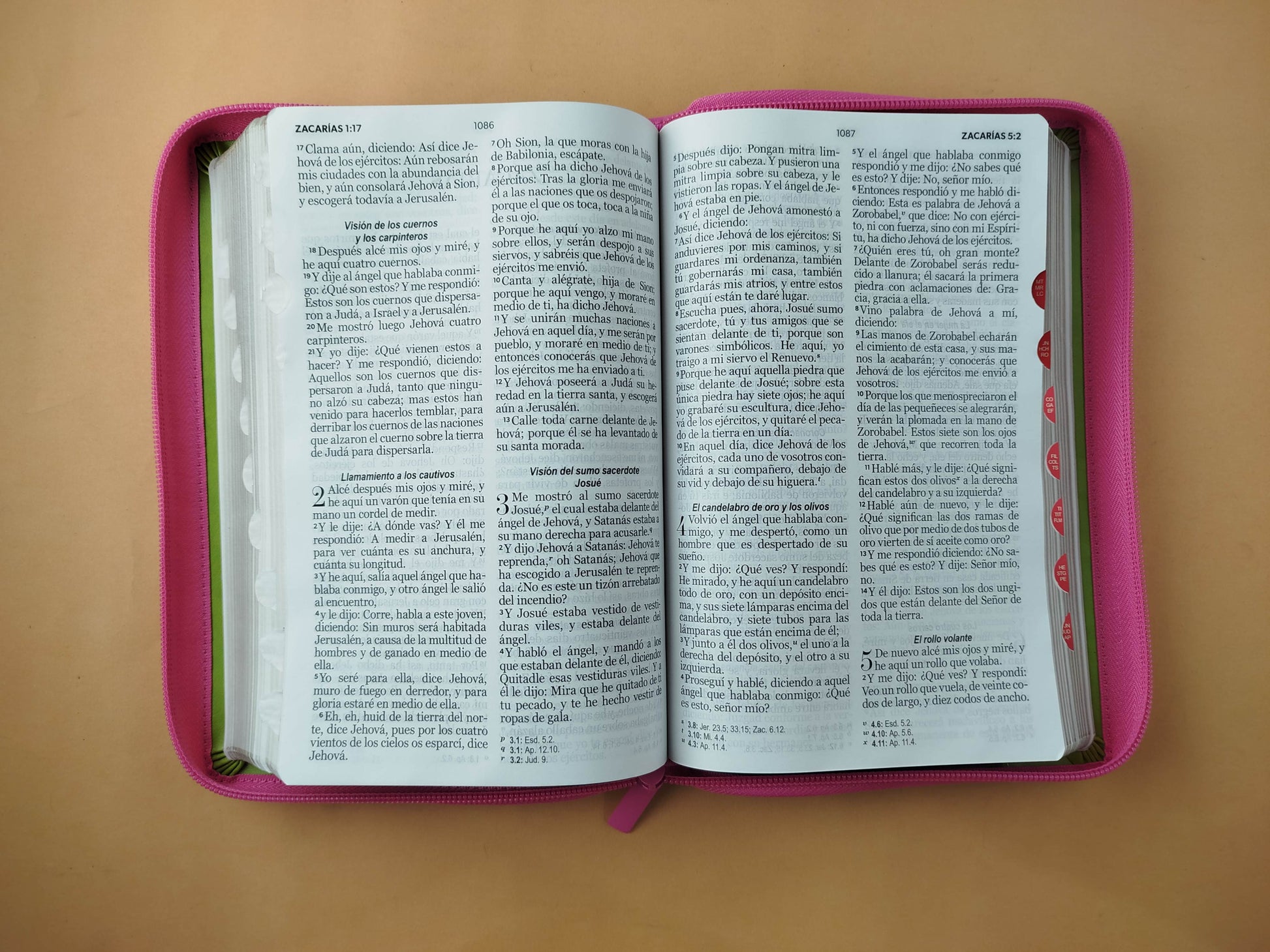 Biblia rvr 1960 tricolor fucsia - verde lima - cafè letra grande con cierre e índice by Reina Valera 1960