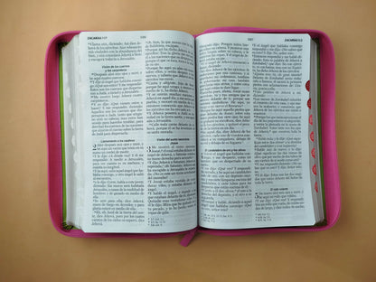 Biblia rvr 1960 tricolor fucsia - verde lima - cafè letra grande con cierre e índice by Reina Valera 1960