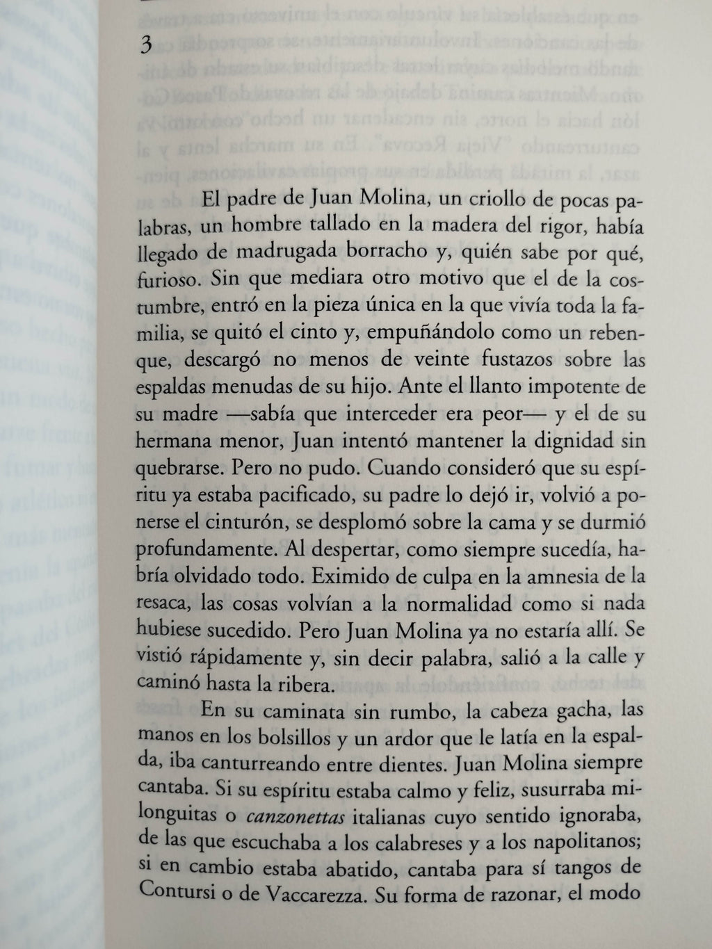 Errante en la sombra by Federico Andahazi