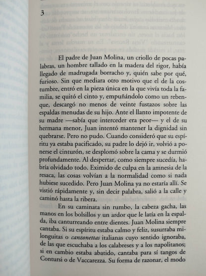 Errante en la sombra by Federico Andahazi