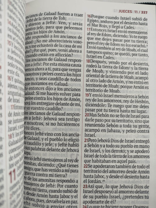 Biblia rvr letra grande azul - verde estampado by Reina Valera 1960
