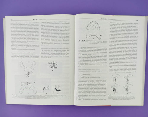 Cirugía bucal Patología y técnica segunda edición by M Donado