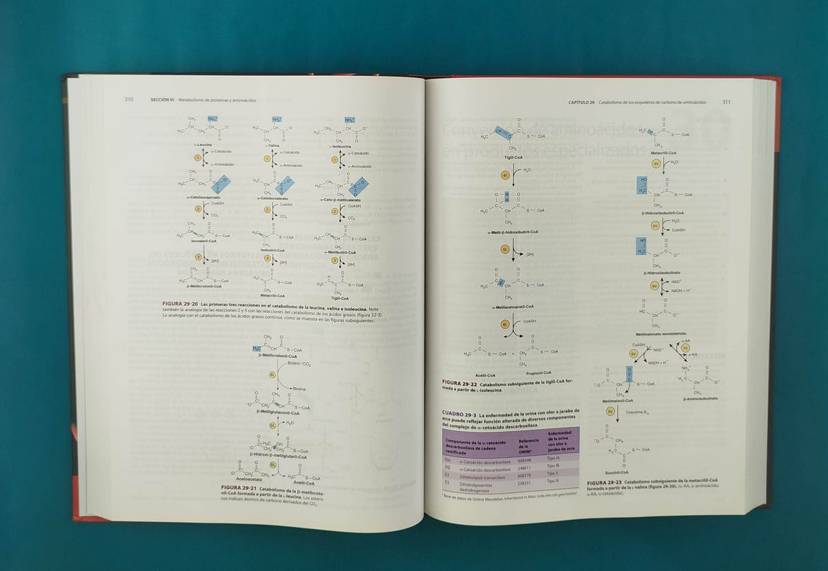 Harper bioquímica ilustrada 30a edición by Rodwell Bender Botham Kennelly Weil
