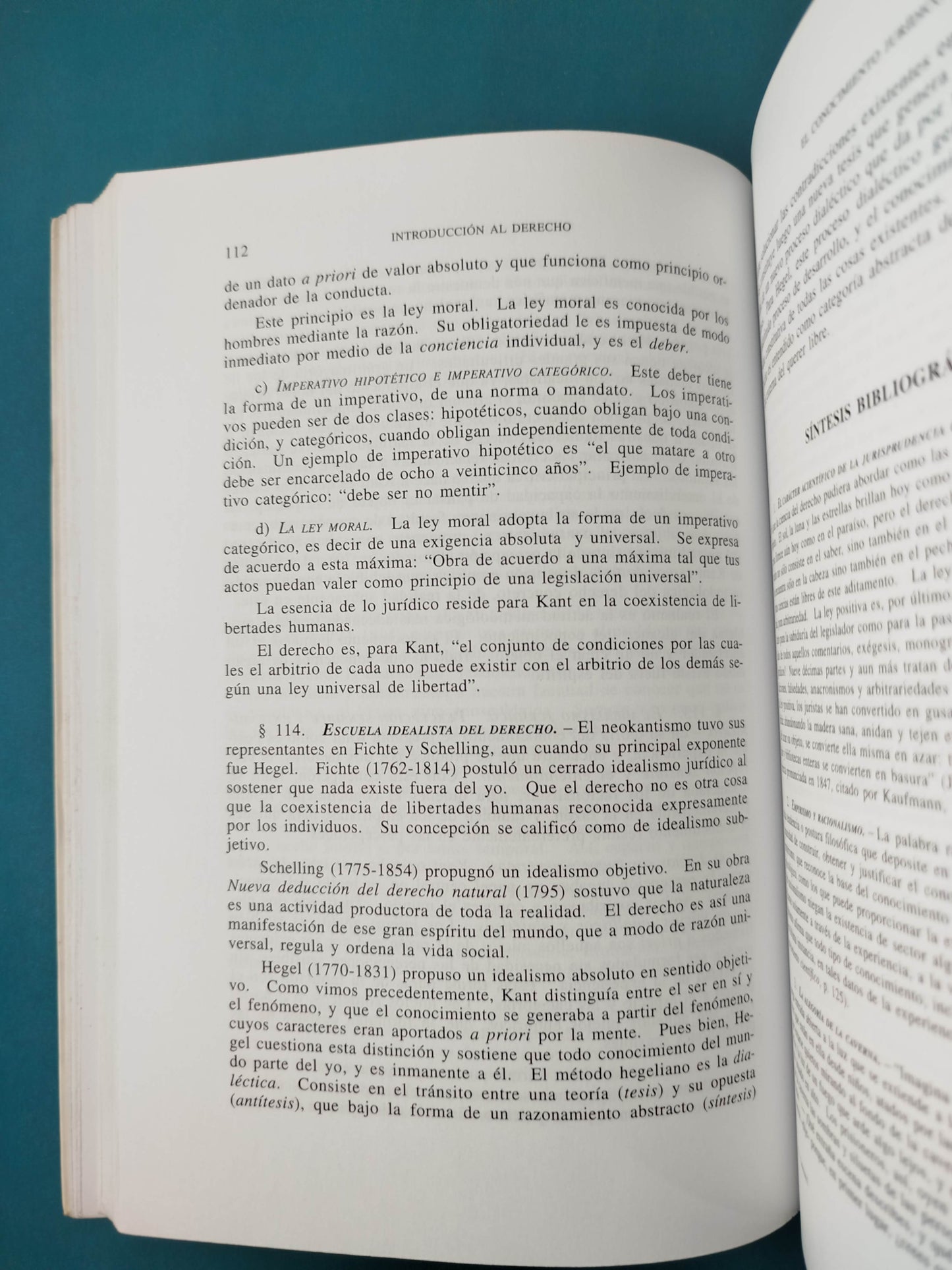 Introduccion Al Derecho: Teoria General, Argumentacion, Razonamiento Juridico