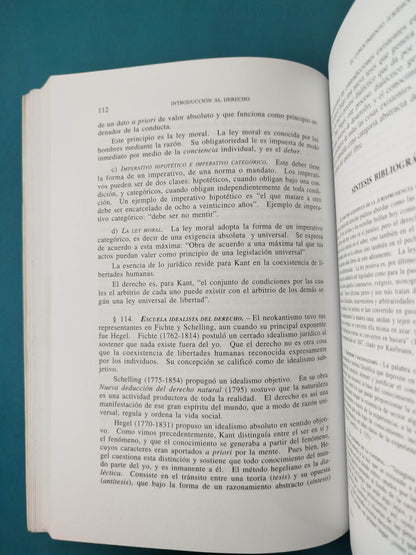 Introduccion Al Derecho: Teoria General, Argumentacion, Razonamiento Juridico