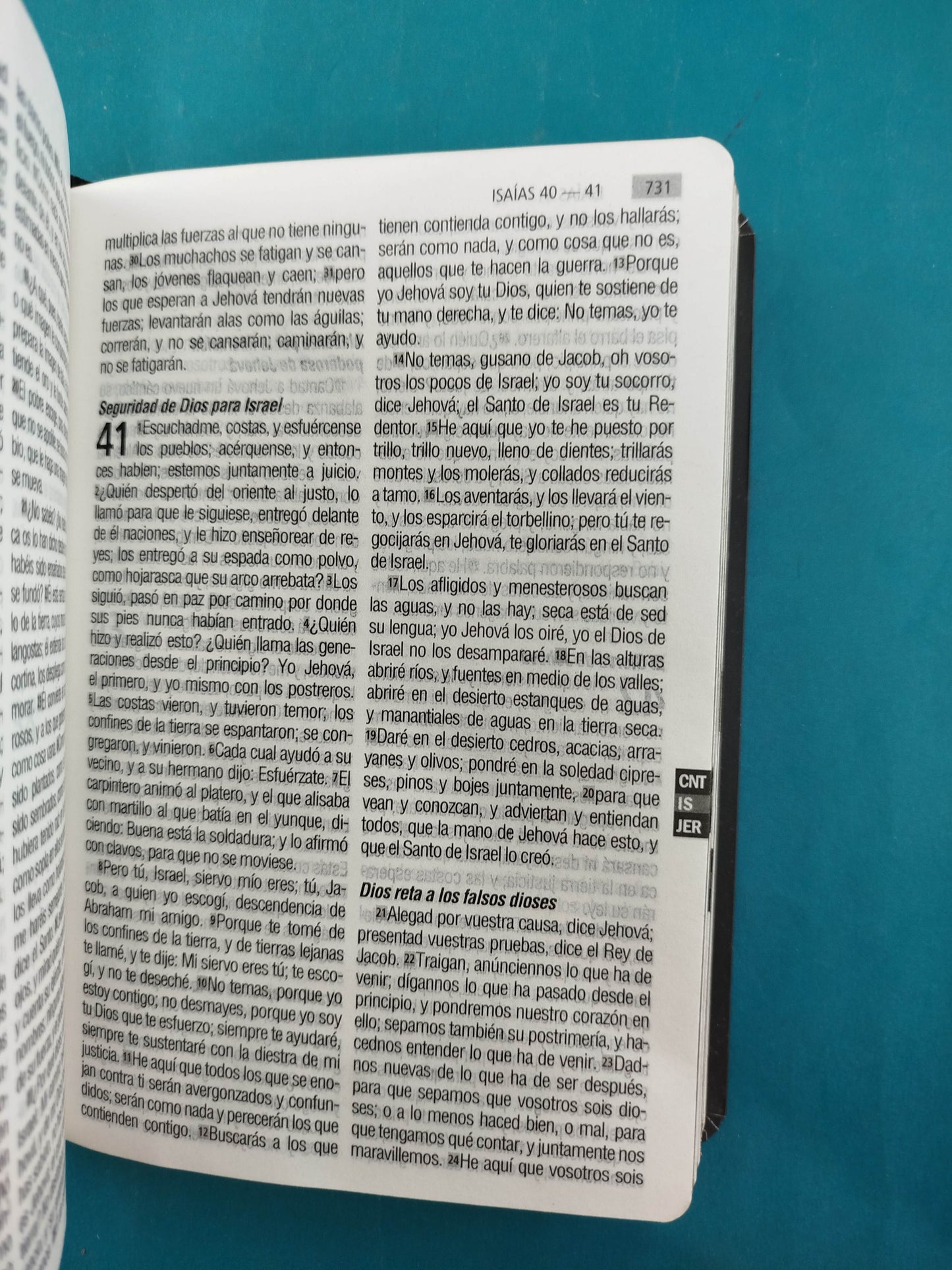 Biblia RVR 1960 Letra Grande Ancla, tapa flexible, borde dorado, sin cierre