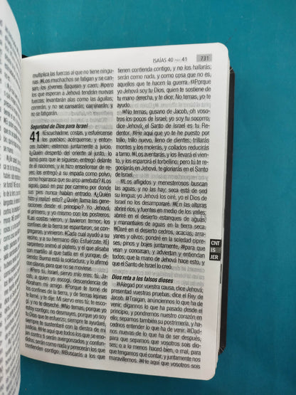 Biblia RVR 1960 Letra Grande Ancla, tapa flexible, borde dorado, sin cierre