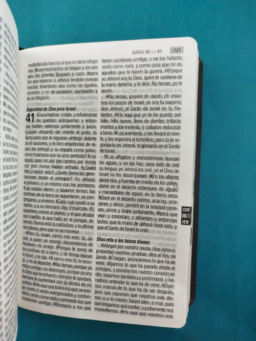 Biblia RVR 1960 Letra Grande Ancla, tapa flexible, borde dorado, sin cierre by Reina Valera 1960