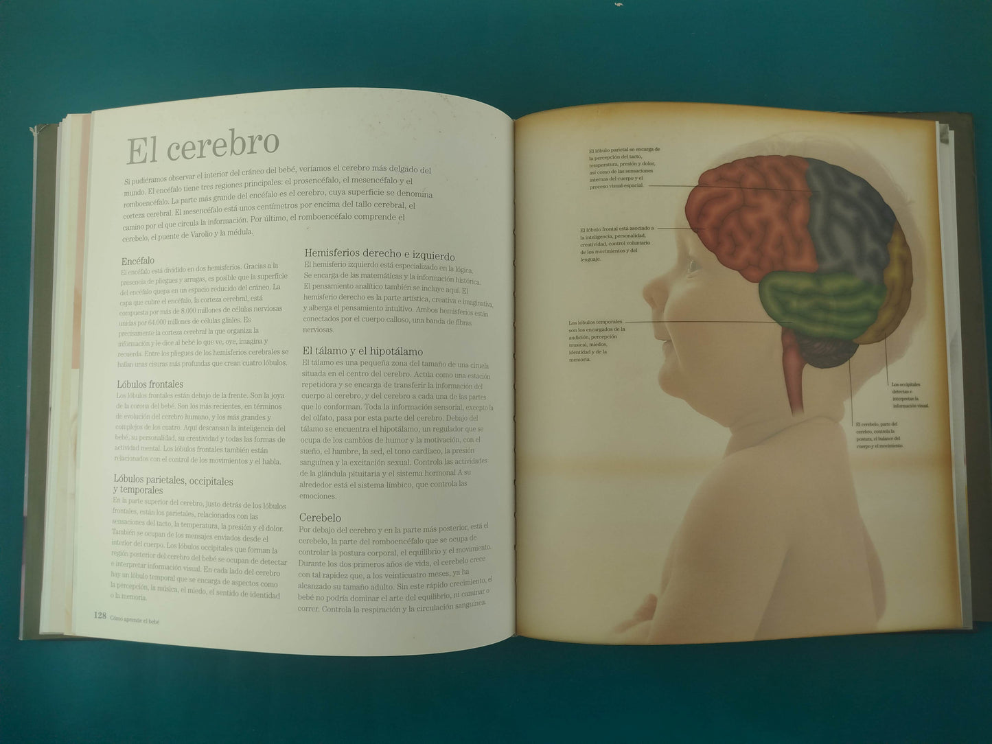 Bebés la maravillosa historia de los dos primeros años de vida