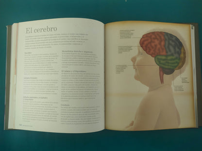 Bebés la maravillosa historia de los dos primeros años de vida