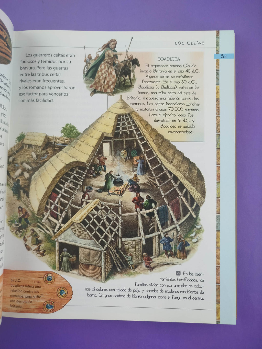Historia del mundo: Apasionante viaje por la historia de la humanidad by Anita Ganeri