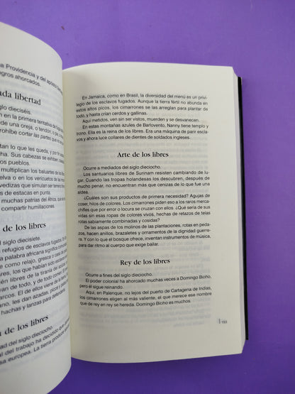 Espejos- Una Historia Casi Universal