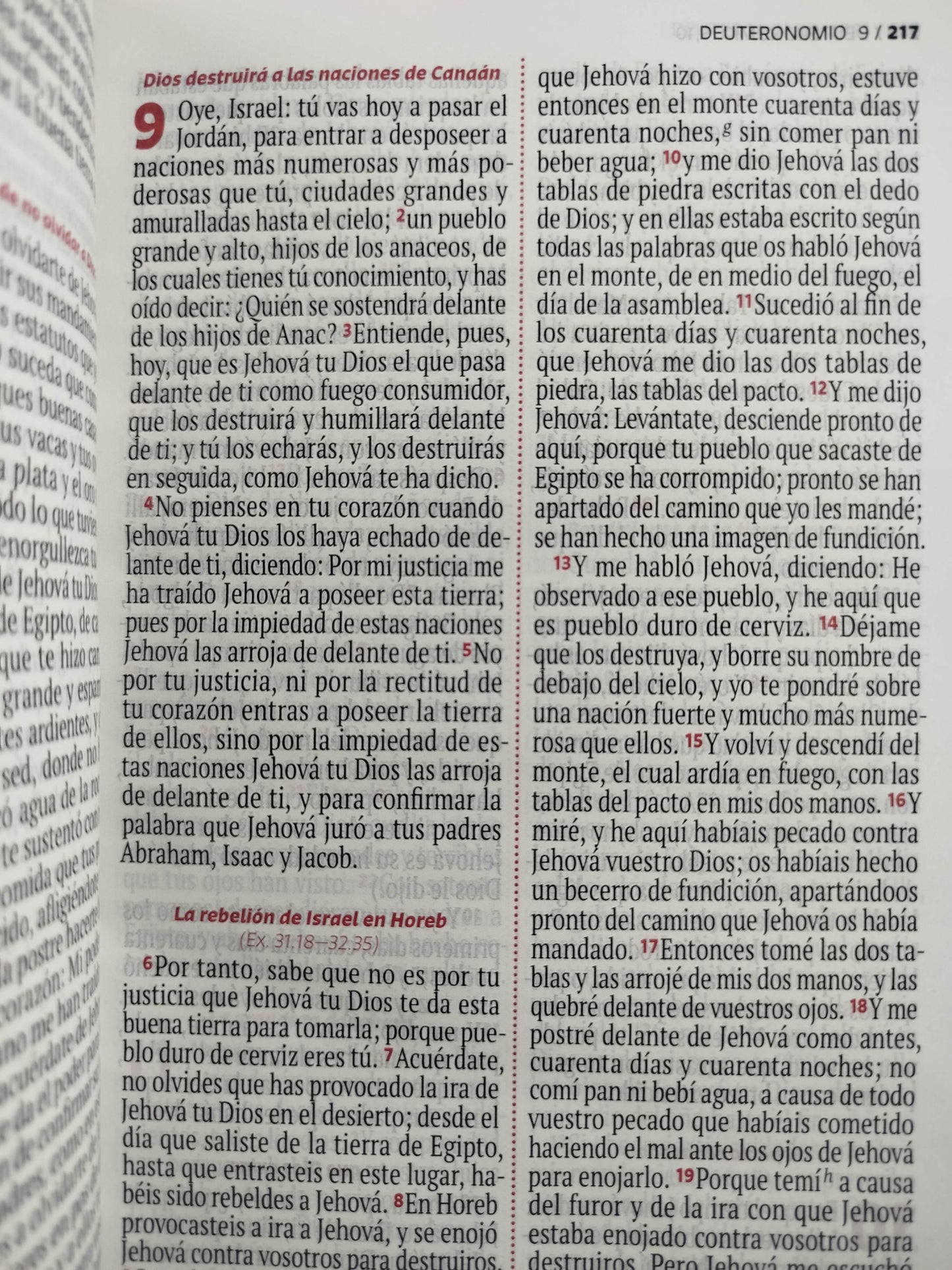 Biblia RVR 1960 letra grande rosada -blanco by Reina Valera 1960