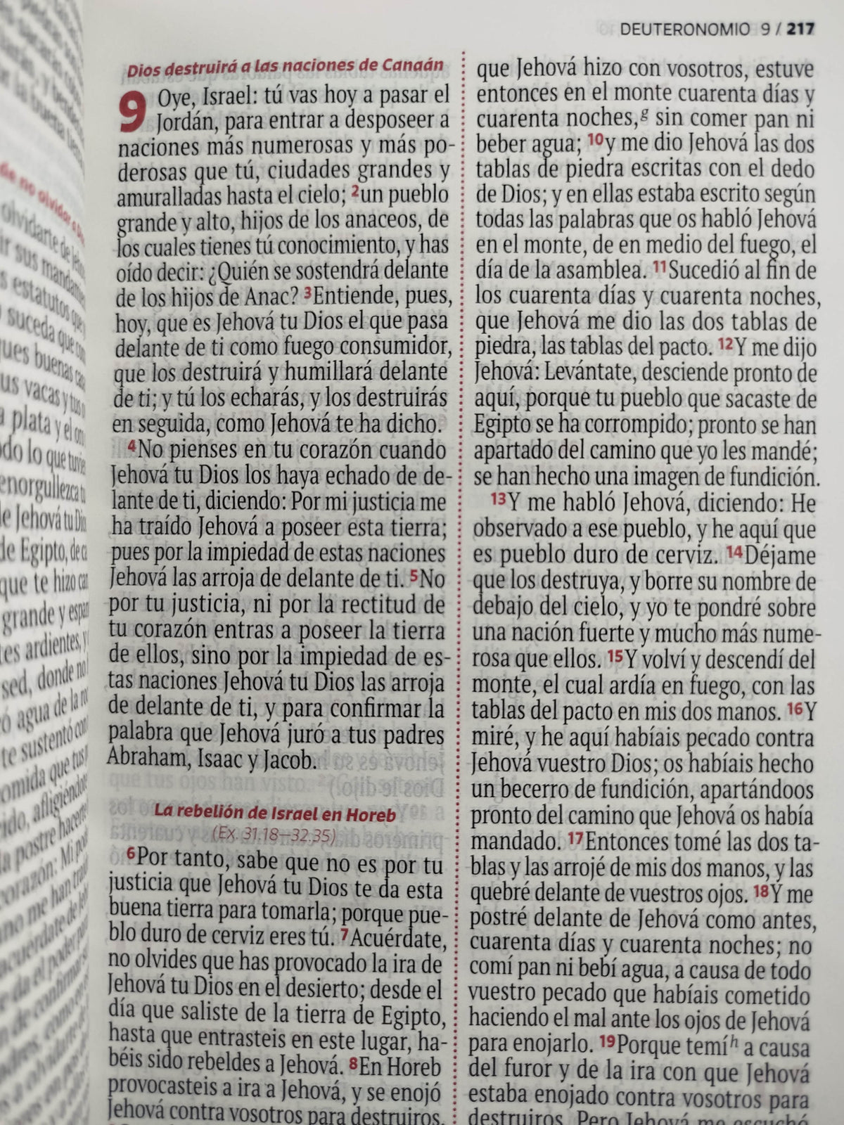 Biblia RVR 1960 letra grande rosada -blanco by Reina Valera 1960