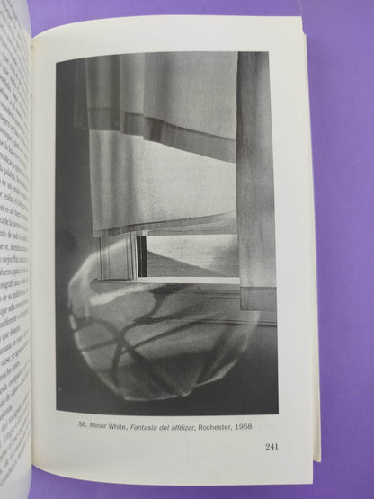 Estética fotográfica