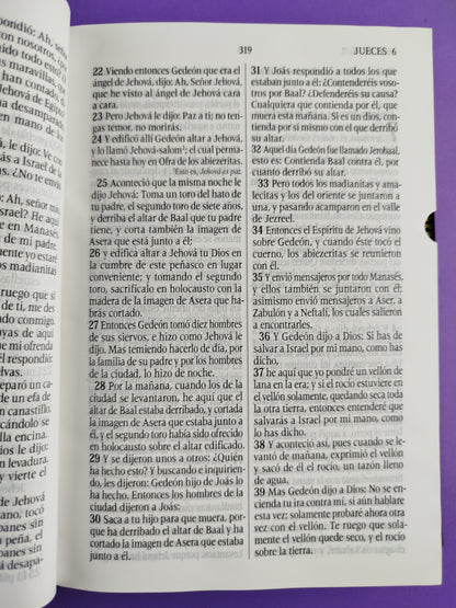 Santa biblia del oso conmemoración con índice