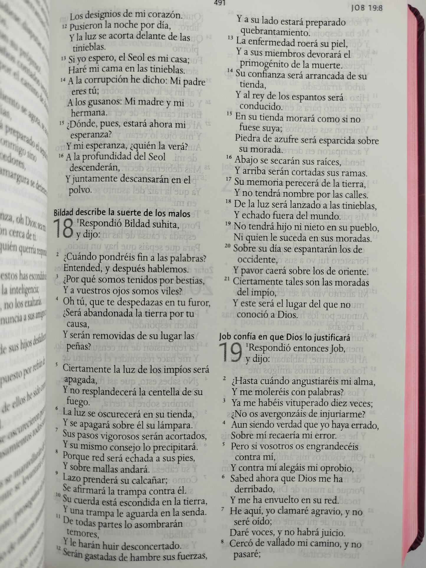 Biblia RVR 1960 letra grande tamaño manual, TD León de Judá rosada (Edición cantos pintados) by Cipriano Valera