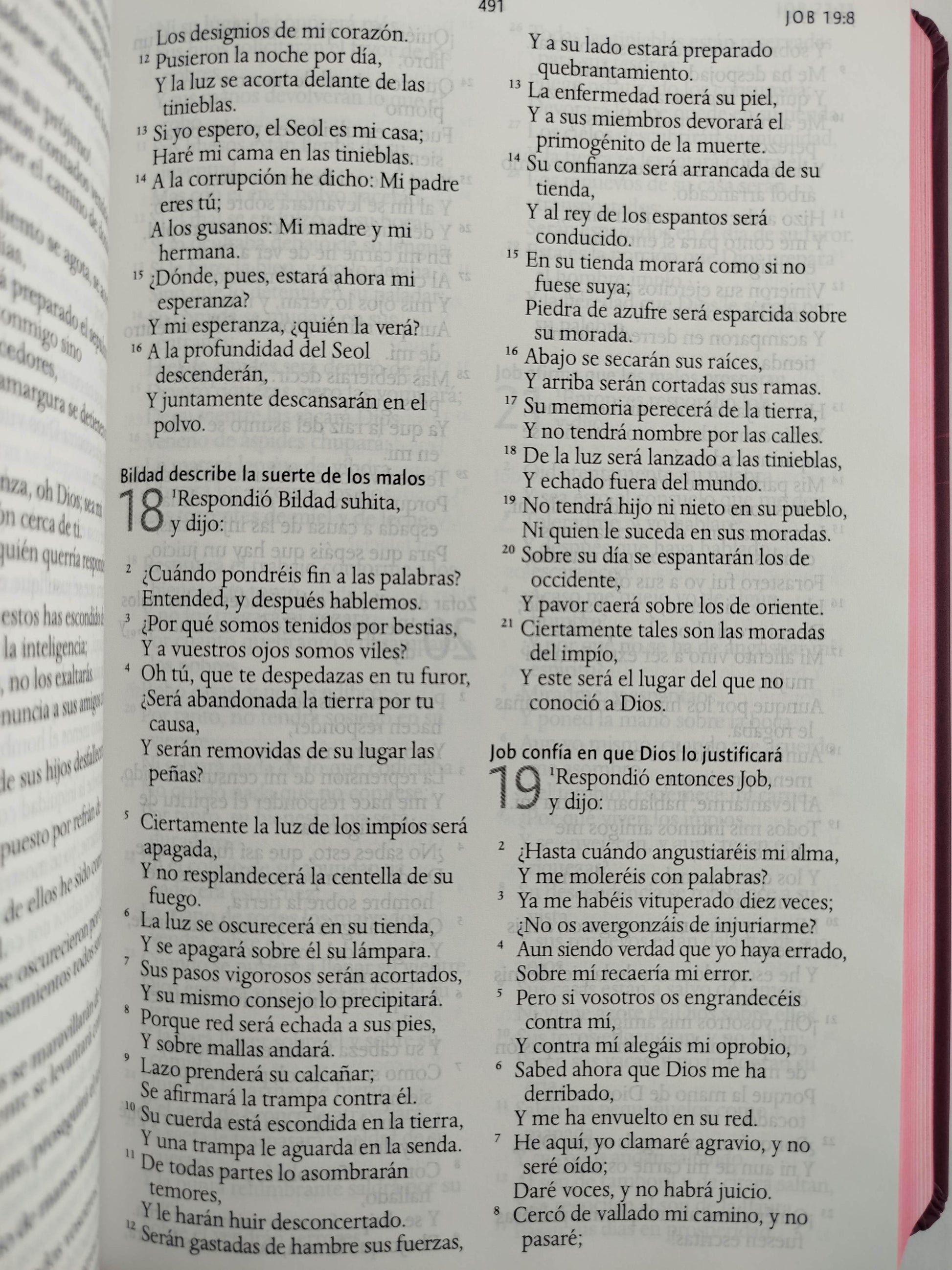 Biblia RVR 1960 letra grande tamaño manual, TD León de Judá rosada (Edición cantos pintados) by Cipriano Valera
