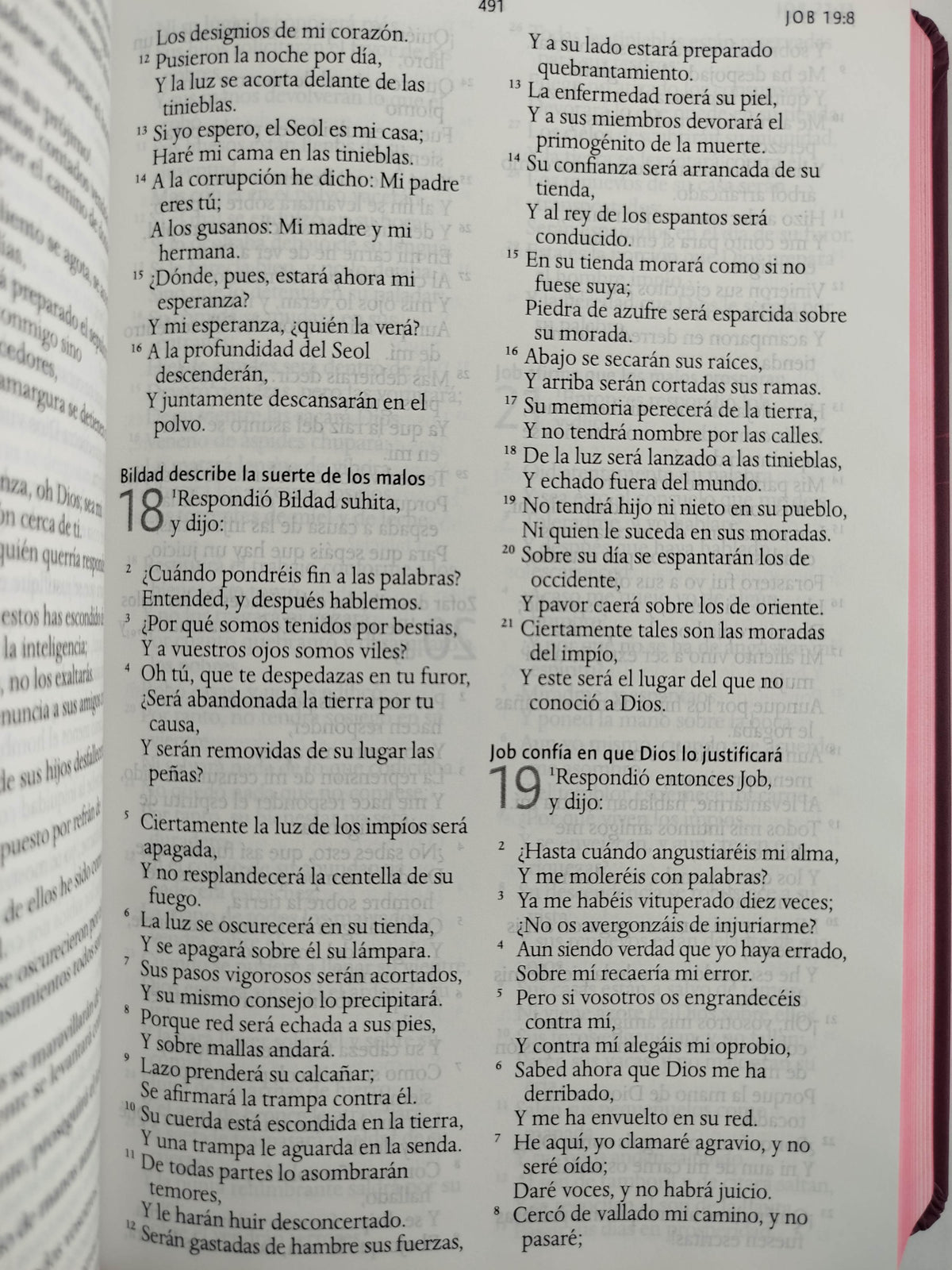 Biblia RVR 1960 letra grande tamaño manual, TD León de Judá rosada (Edición cantos pintados) by Cipriano Valera