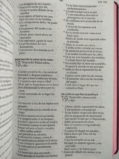 Biblia RVR 1960 letra grande tamaño manual, TD León de Judá rosada (Edición cantos pintados) by Cipriano Valera