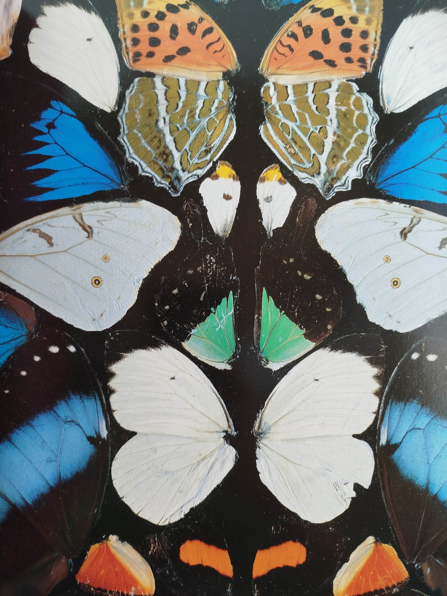 Superstition by Damien Hirst