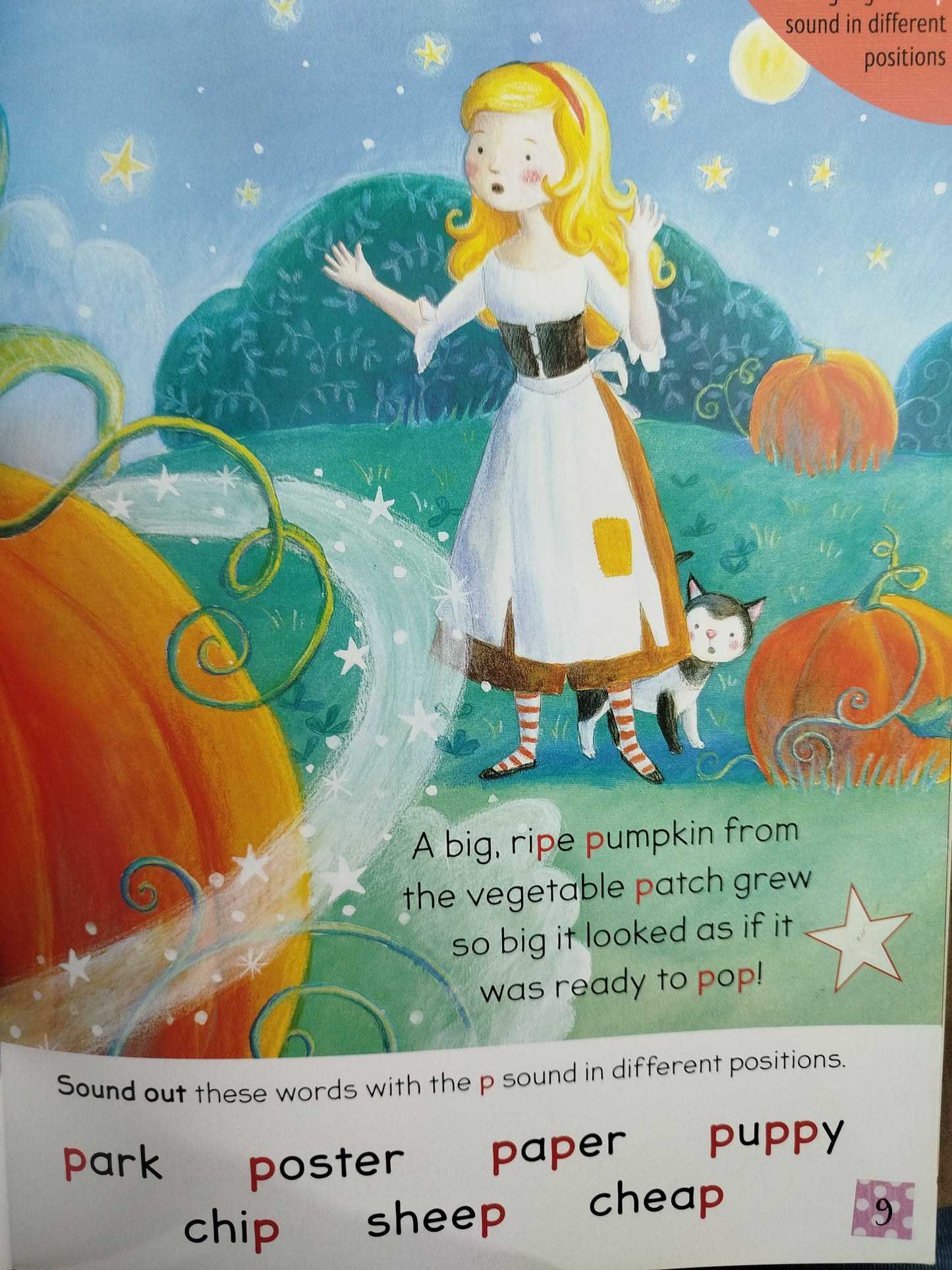 Reading Together Cinderella by Varios