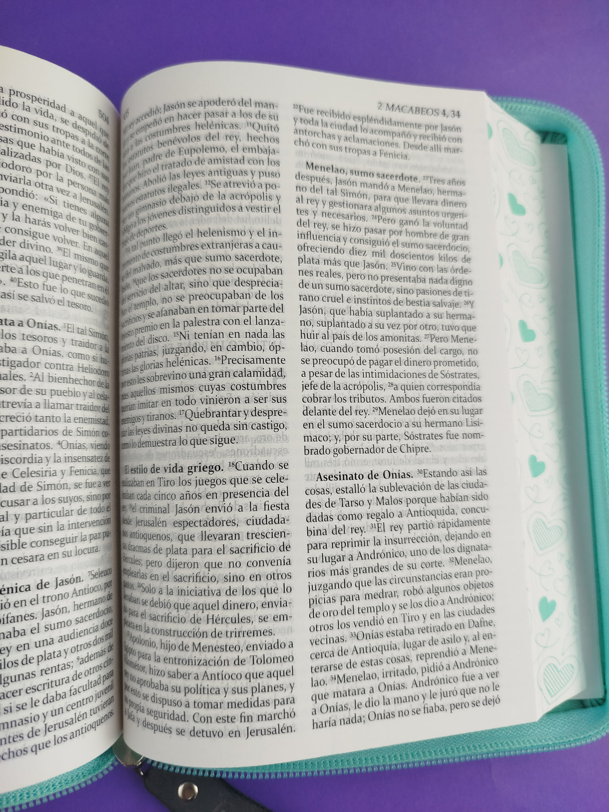 sagrada biblia de américa colección estuche verde menta / rosas by Varios