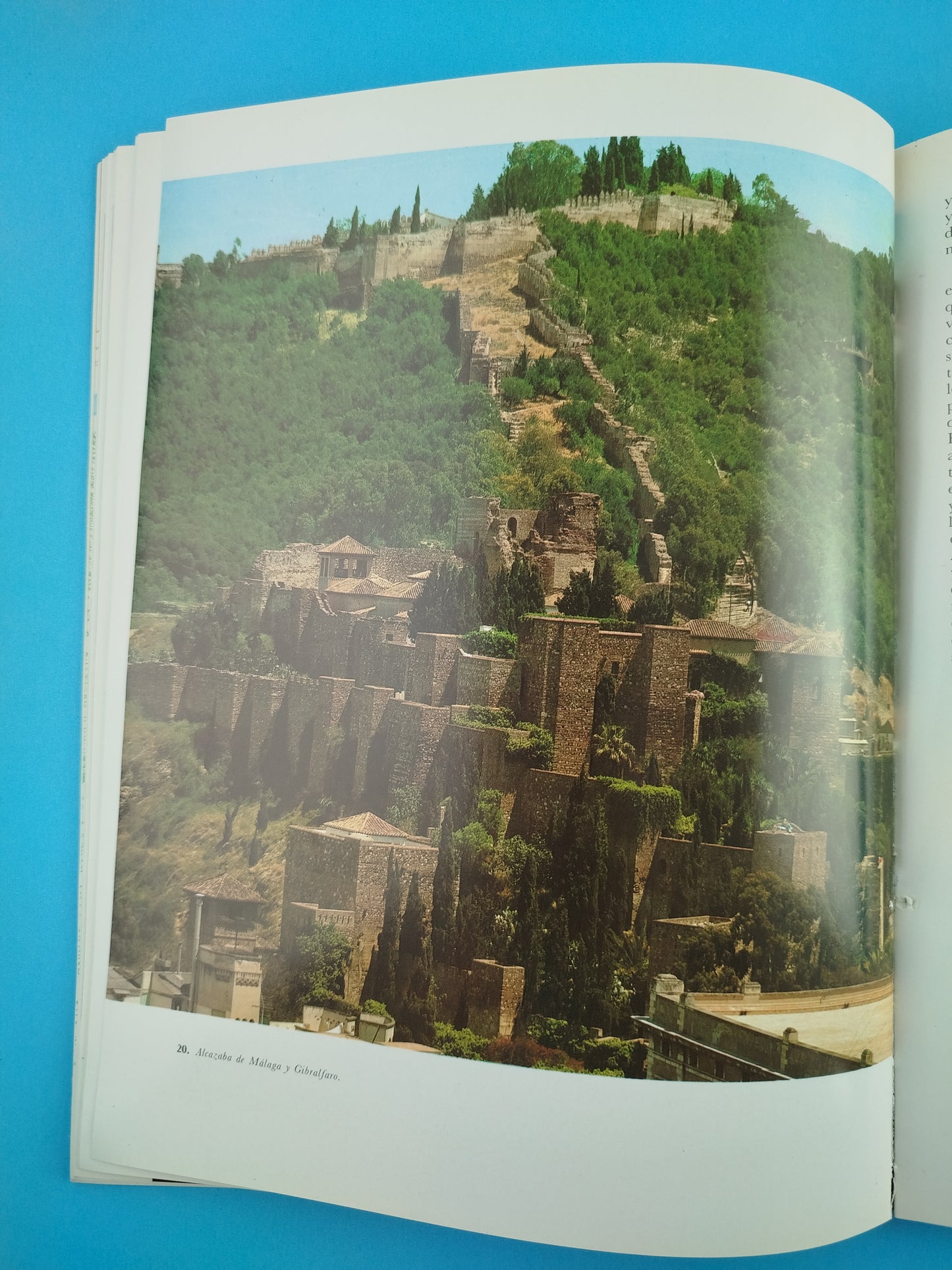 El libro de la Alhambra: historia de los sultanes de Granada