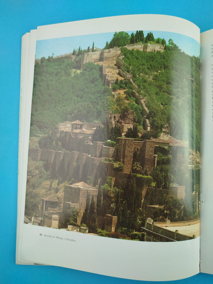 El libro de la Alhambra: historia de los sultanes de Granada