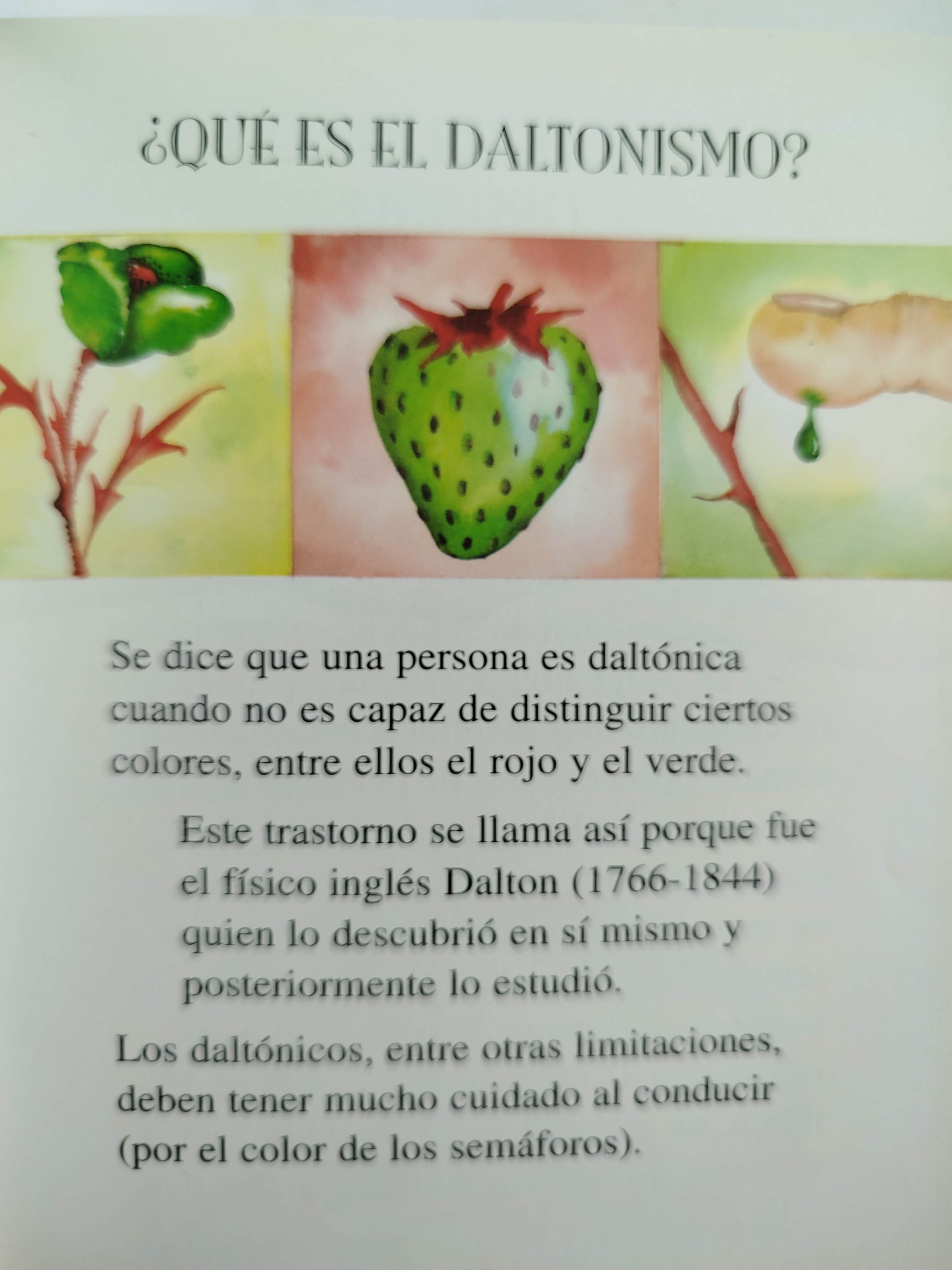 250 preguntas y respuestas by Isabel Reviejo
