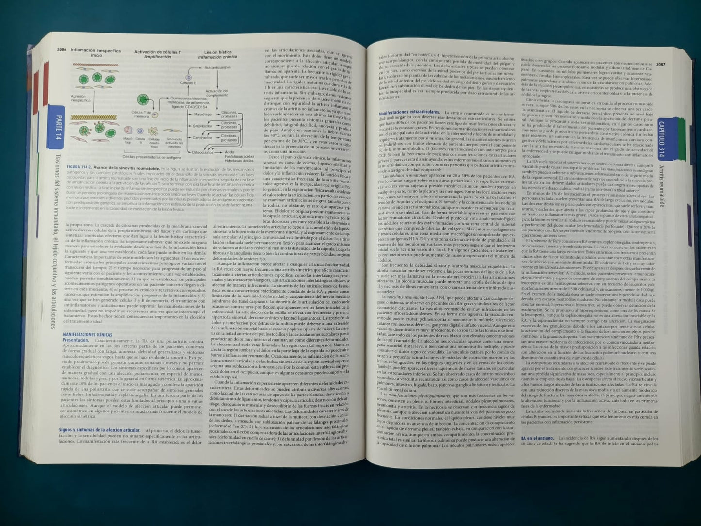 Harrison principios de Medicina Interna edición 17a 2 volúmenes