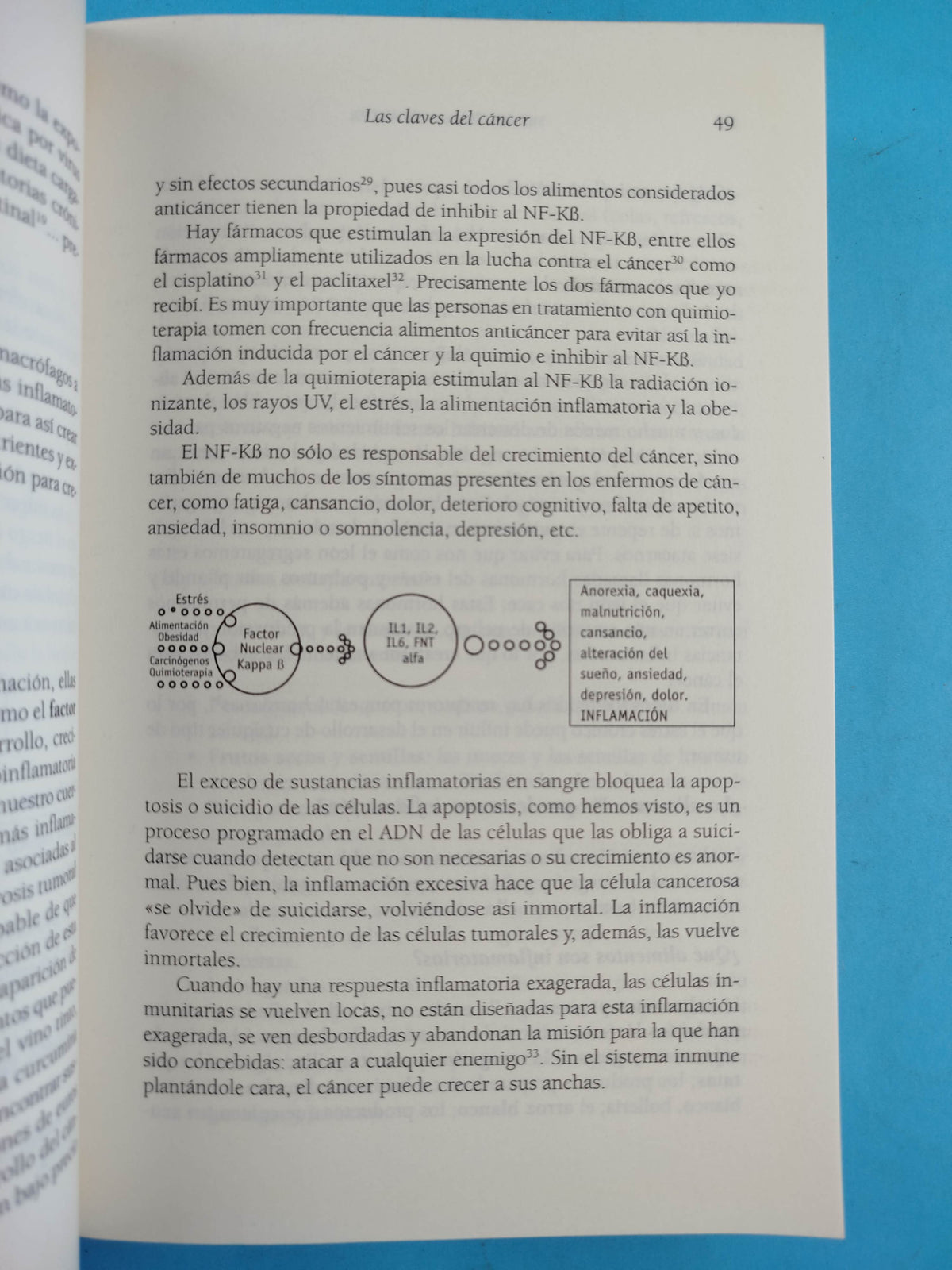 Mis recetas anticáncer: Alimentación y vida anticáncer by Odile Fernández