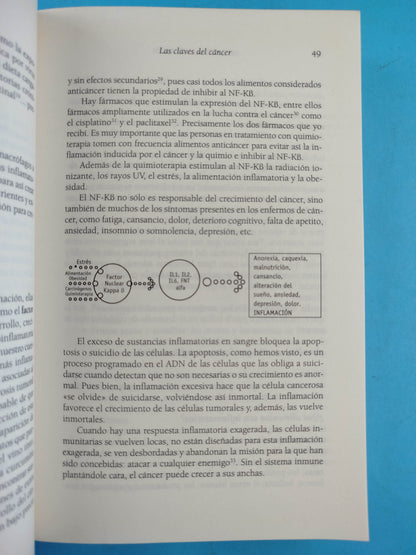Mis recetas anticáncer: Alimentación y vida anticáncer by Odile Fernández