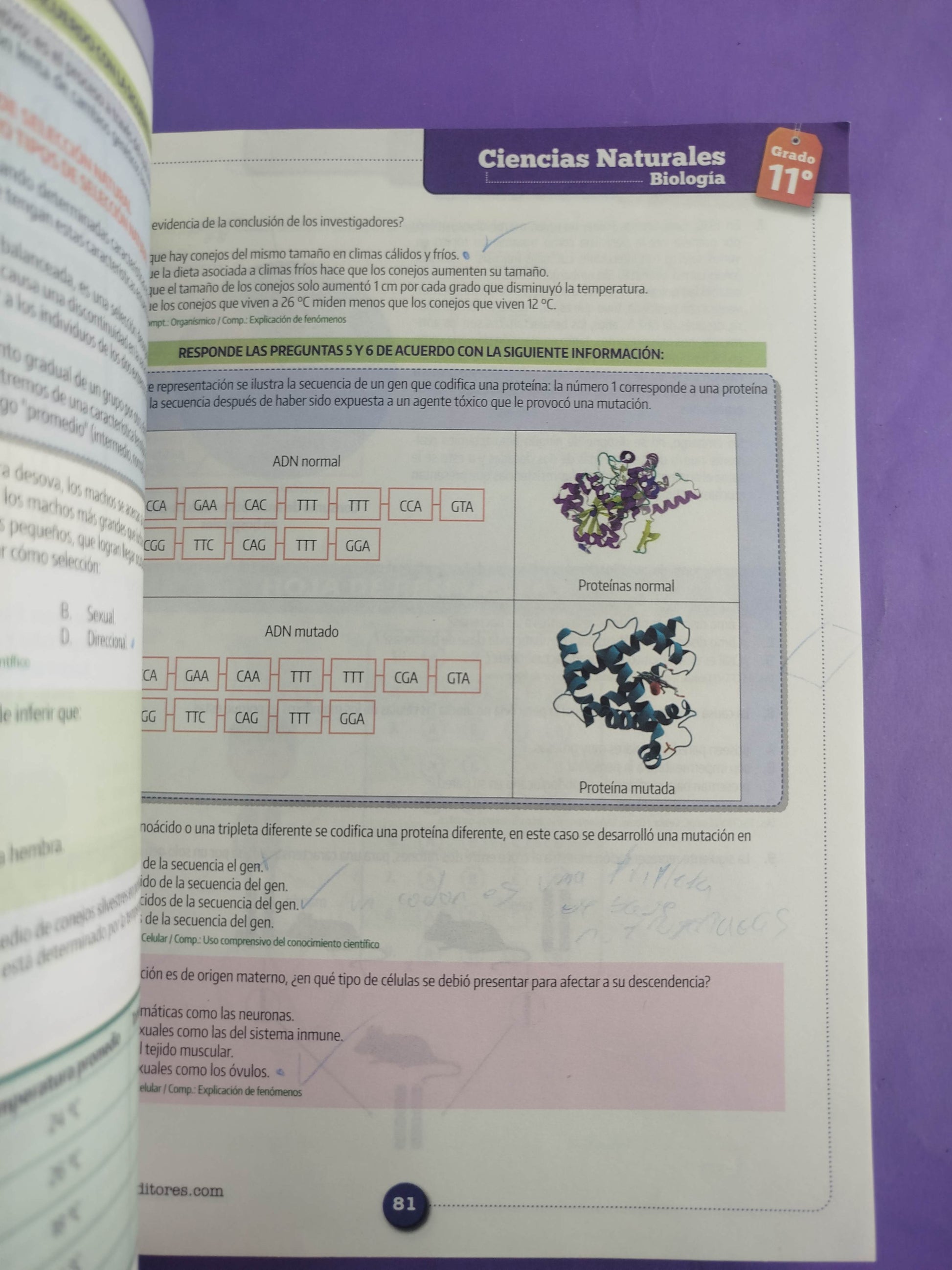 Saber + : Estándares básicos de competencias Grado 11° Ciencias Naturales by Varios