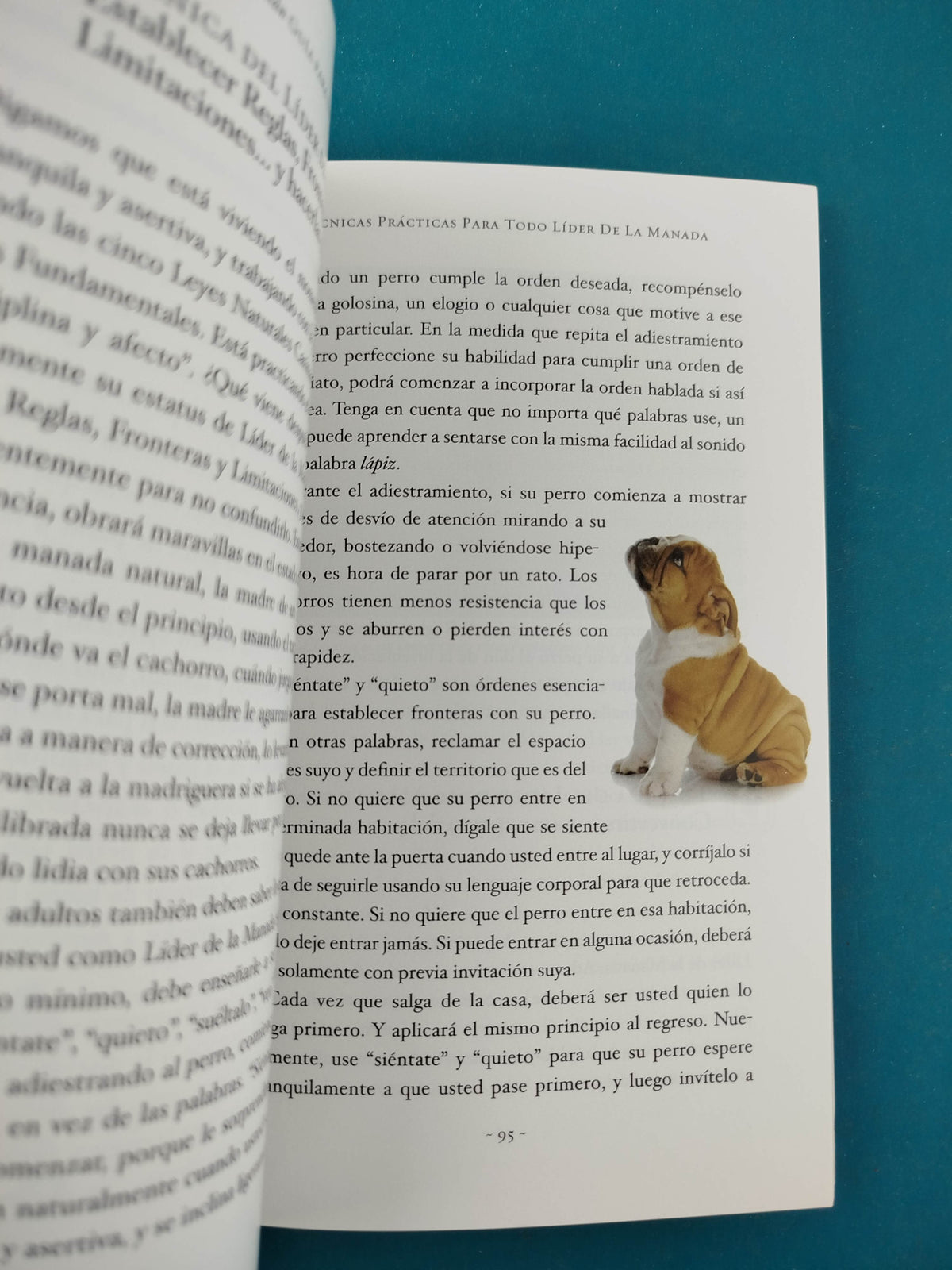 Guía Para un Perro Felíz by César Millán