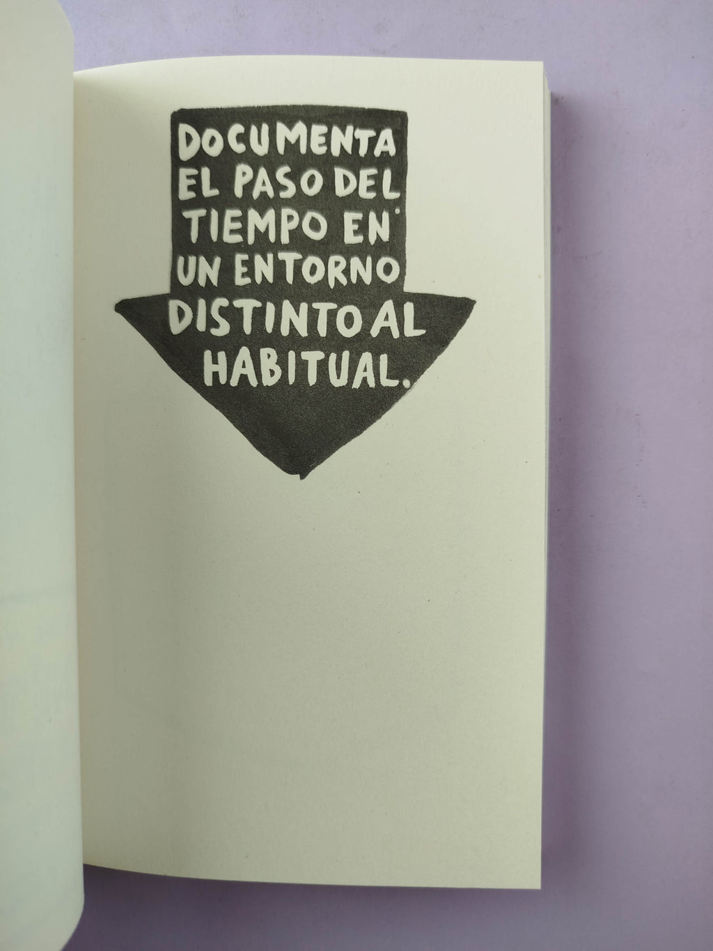 Destroza este diario en cualquier sitio by Keri Smith