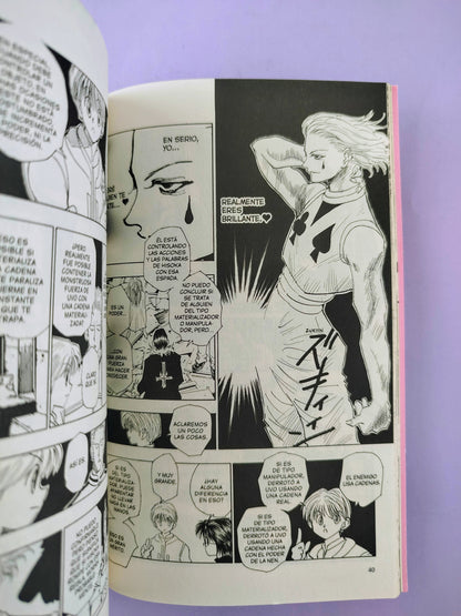 Hunter x hunter N.12
