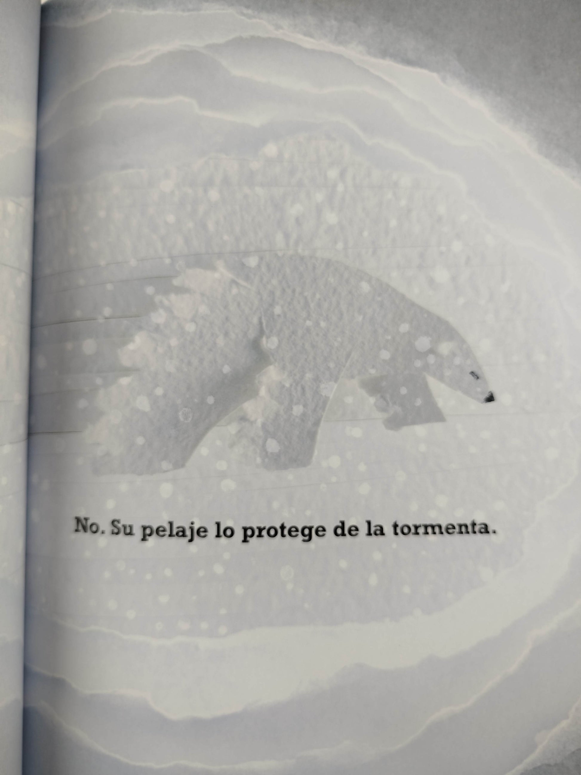 Un Oso Polar En La Nieve by Mac Barnett
