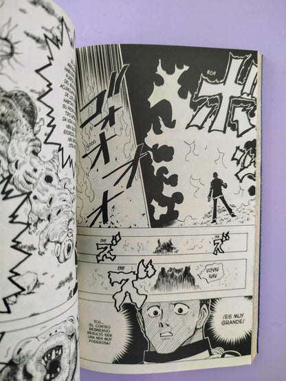 Hunter x hunter N.15 by Yoshihiro Togashi