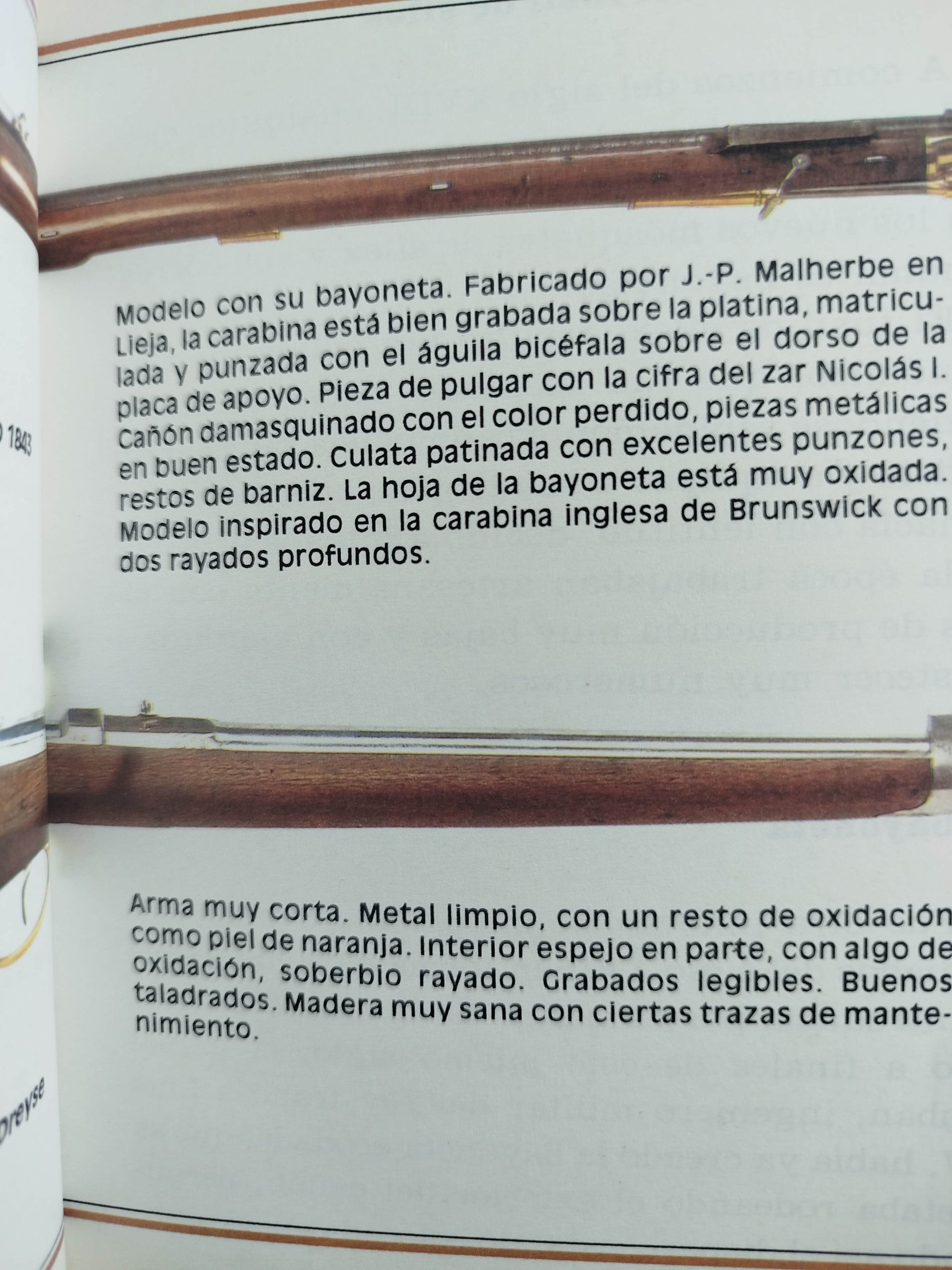 Armas largas by Nicky Campisano