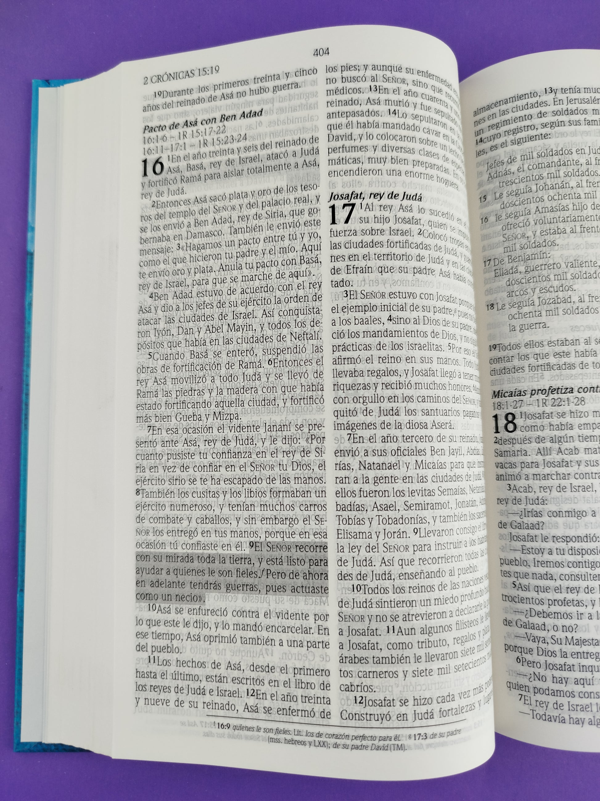 Biblia promesas nvi azul pasta dura by Nueva Versión Internacional