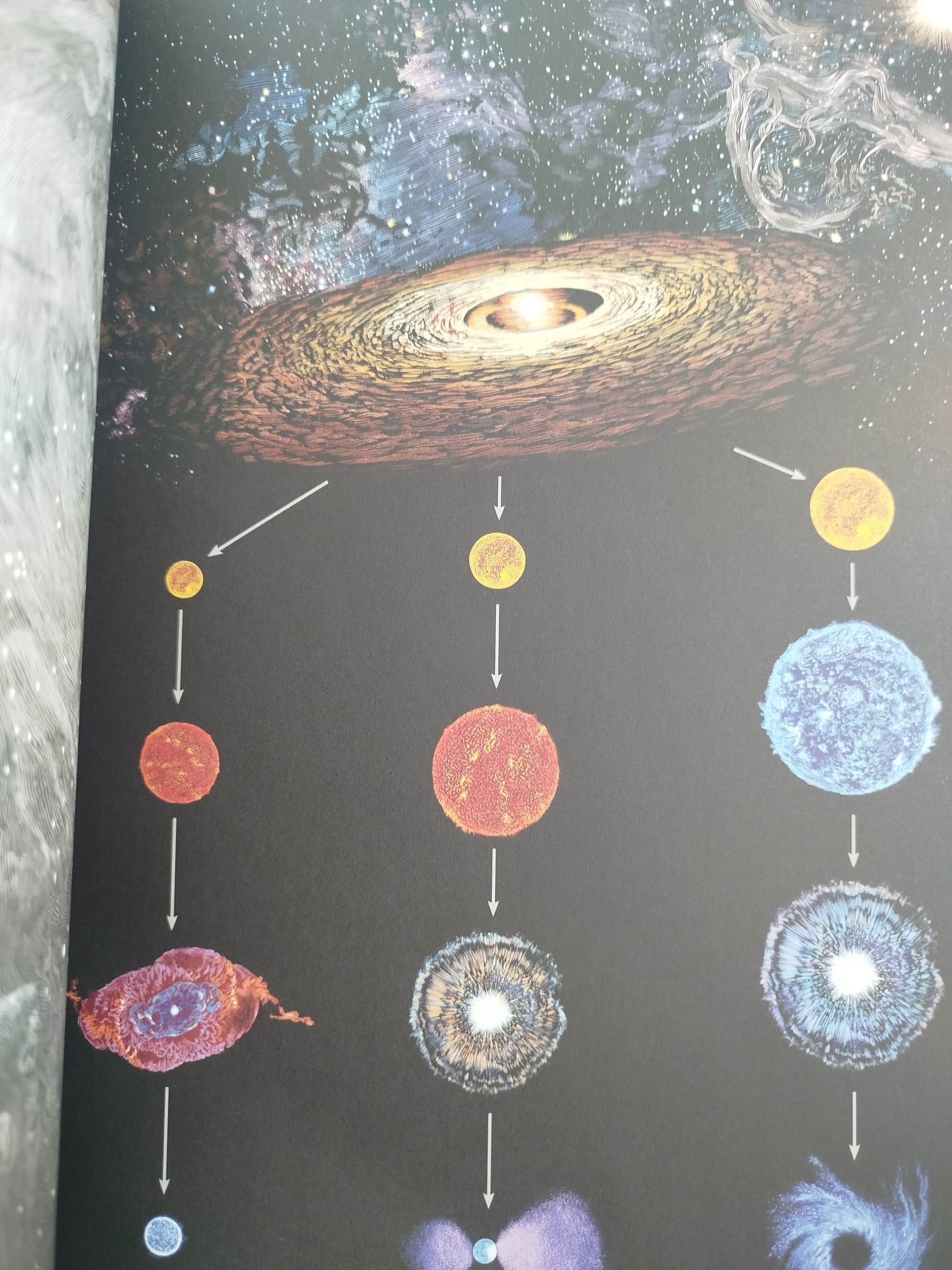 Planetarium Libro Poster by Chris Wormell