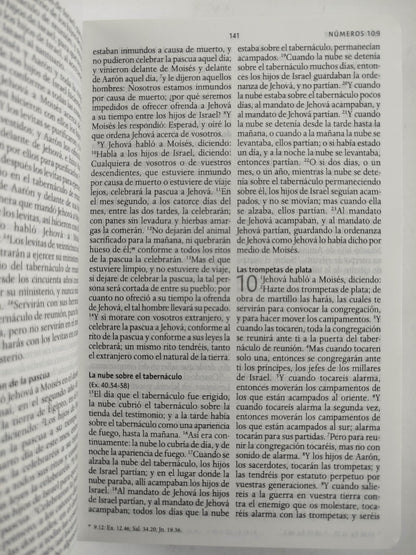 Biblia rvr 1960 letra grande tamaño manual tapa dura tela rosada con flores con imágenes de la tierra santa by Reina Valera 1960